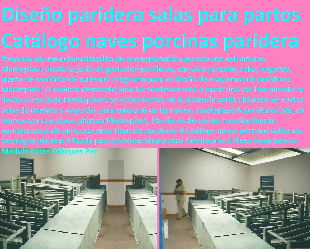 Parideras de cerdas móviles Diseño paridera salas de parto porcinas tipos de parideras 0 catálogo naves porcinas vallas de hormigón plástico 0 lechonera, destete, jaula pre ceba porcinos, corraleja, ceba, engorde cerdos, porqueriza cría de lechones, pisos jaulas comederos, porcicultura jaulas, corrales, parideras, porcinas corral, gestación cerdas, parto cerda, Barda para porcinos Maderplast fabricantes 0 Placa Separadores Módulo Losas Tabiques Pvc Parideras de cerdas móviles Diseño paridera salas de parto porcinas tipos de parideras 0 catálogo naves porcinas vallas de hormigón plástico 0 Barda para porcinos Maderplast fabricantes 0 Placa Separadores Módulo Losas Tabiques Pvc